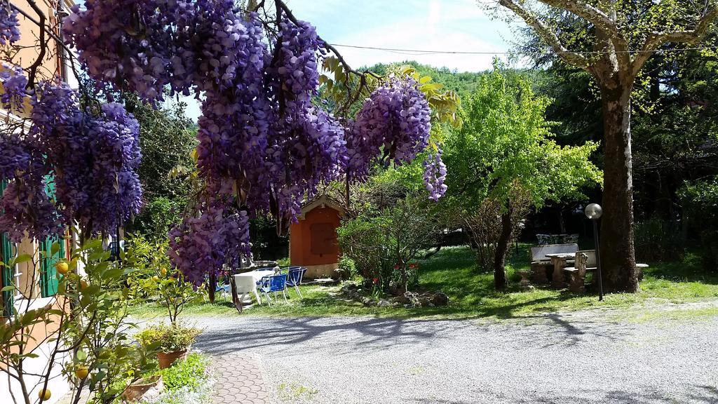 Monte San Pietro Villa Storica Calderino المظهر الخارجي الصورة